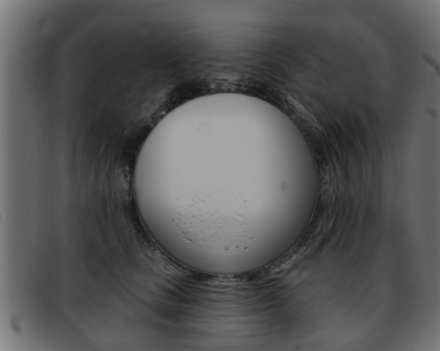 X0000093420661200710120858