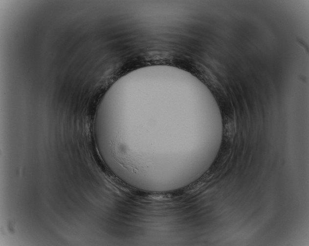 X0000093420662200710120858