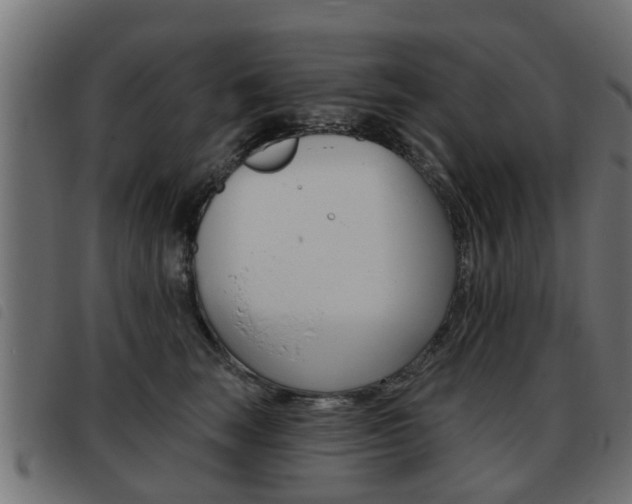 X0000093420663200710120858