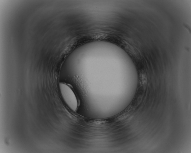 X0000093420664200710120858