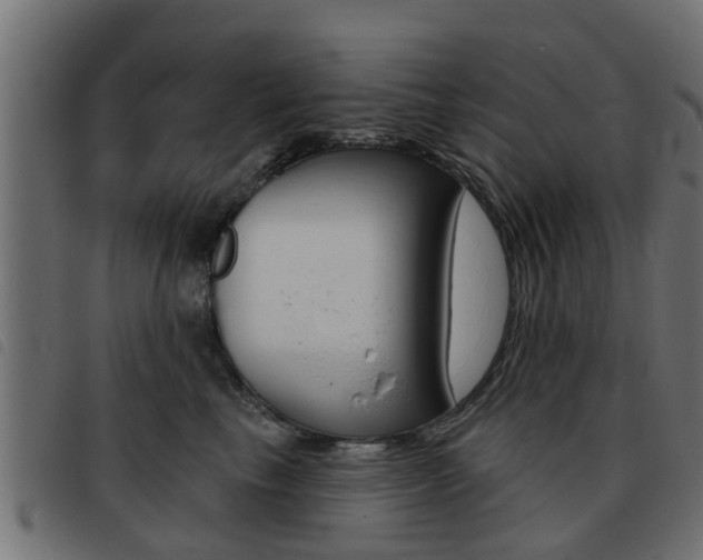 X0000093420665200710120858