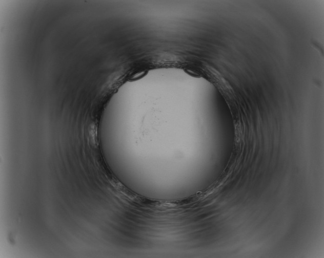 X0000093420669200710120858