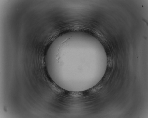 X0000093420670200710120858