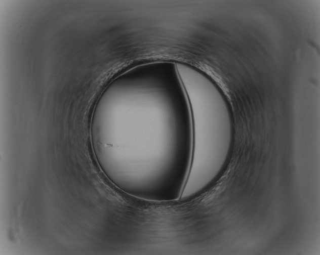 X0000093420673200710120857