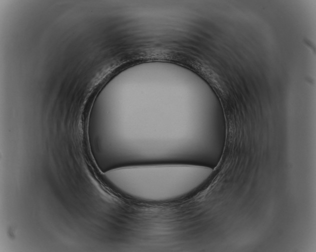 X0000093420674200710120857
