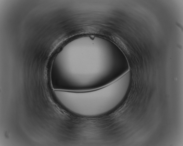 X0000093420676200710120857