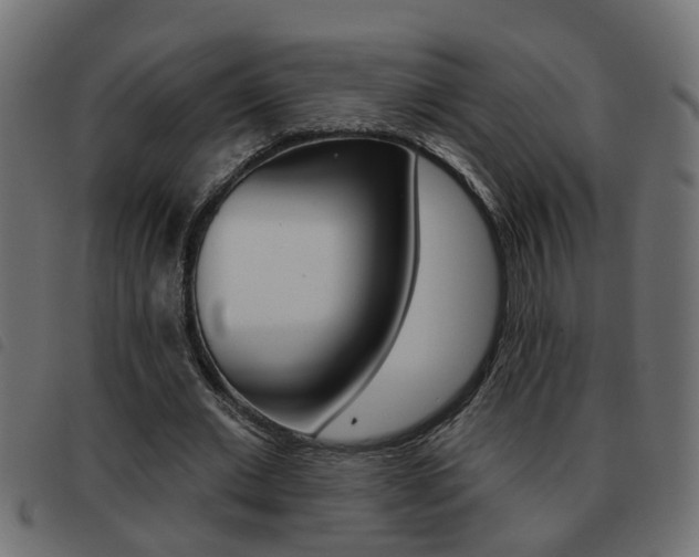 X0000093420677200710120857