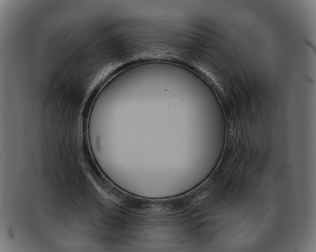 X0000093420678200710120857