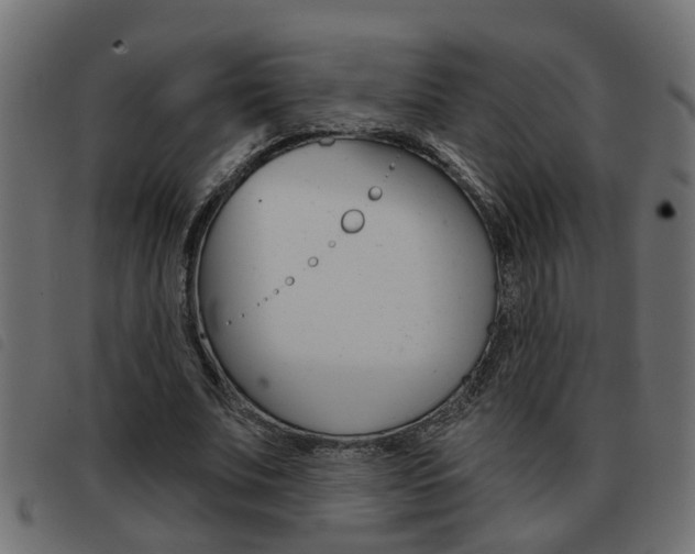 X0000093420679200710120857