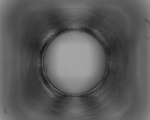 X0000093420683200710120857