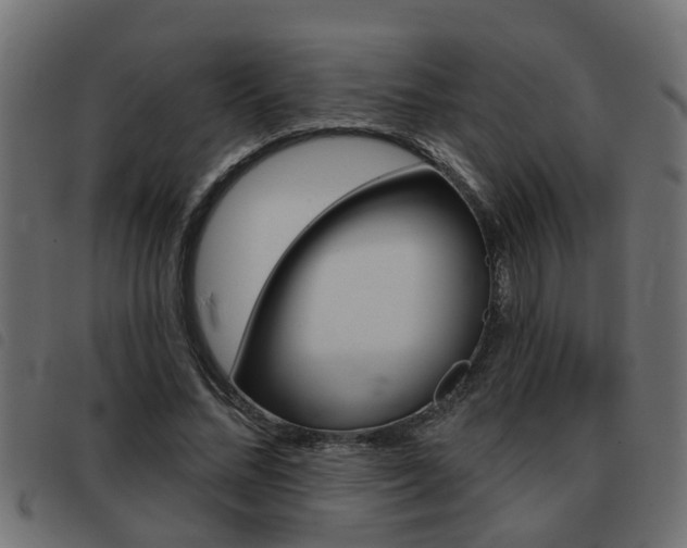 X0000093420684200710120857