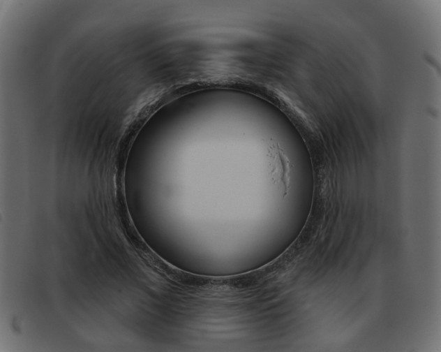X0000093420685200710120857
