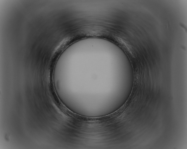 X0000093420686200710120857