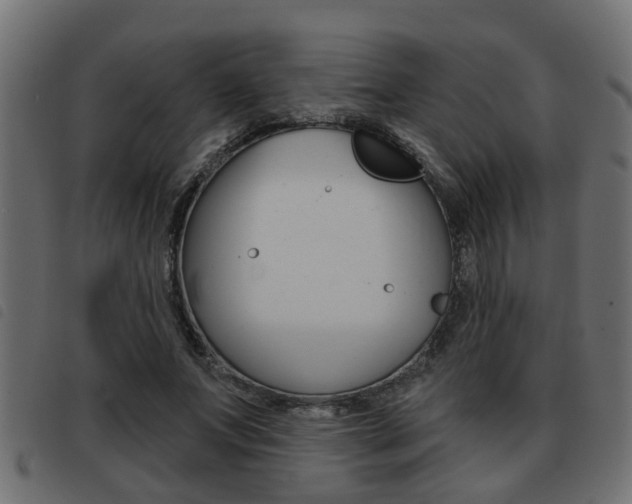 X0000093420687200710120857