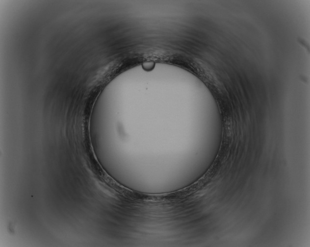 X0000093420690200710120857