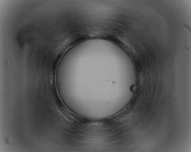 X0000093420691200710120857
