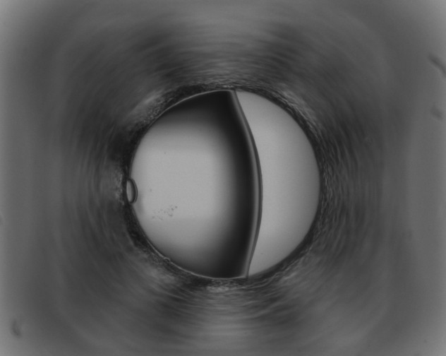 X0000093420693200710120857