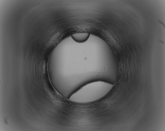 X0000093420694200710120857