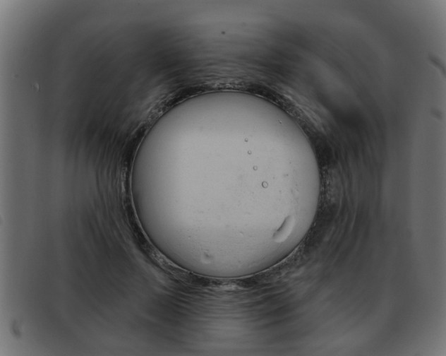 X0000093420695200710120857