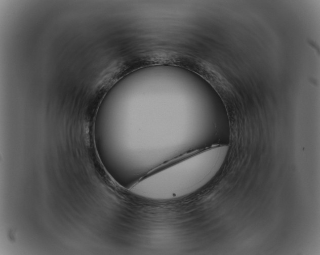 X0000093420696200710120857
