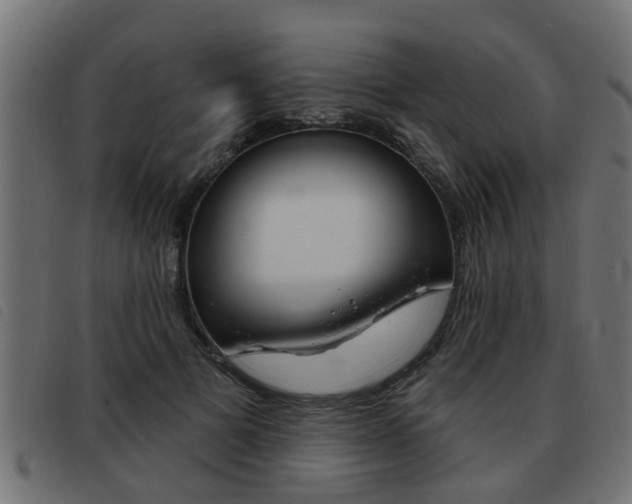 X0000093420697200710120857