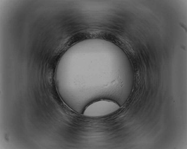 X0000093420698200710120857