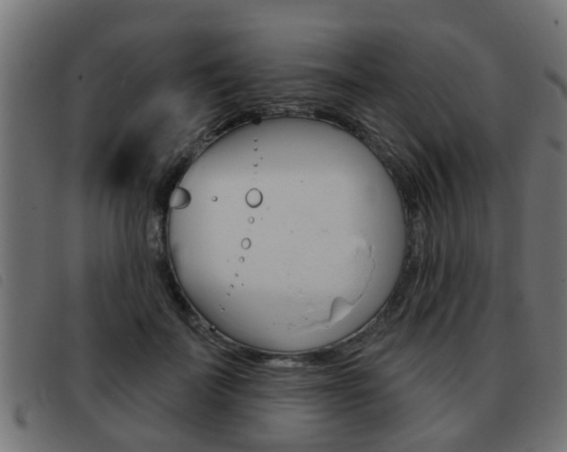X0000093420699200710120857
