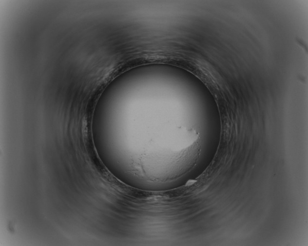 X0000093420700200710120857