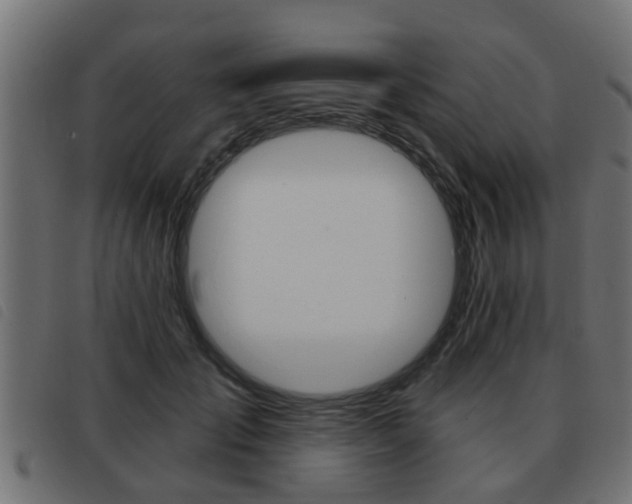 X0000093420701200710120857