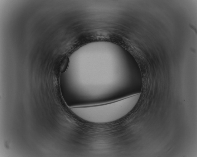X0000093420704200710120857