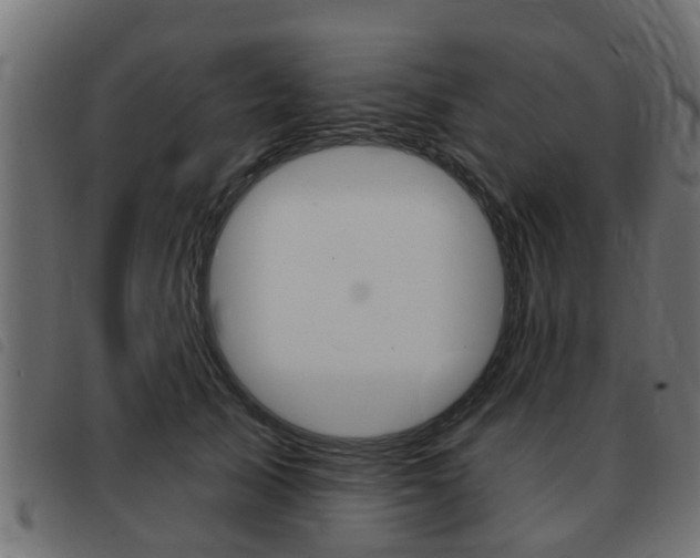 X0000093420705200710120857