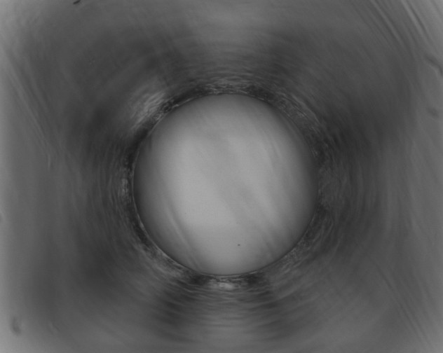 X0000093420706200710120857