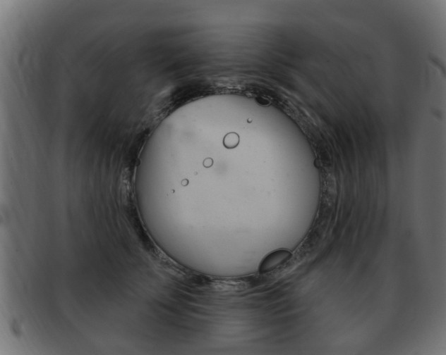 X0000093420707200710120857