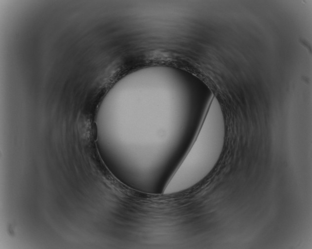 X0000093420708200710120857