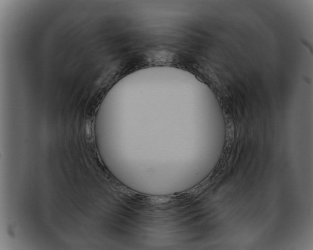 X0000093420709200710120857