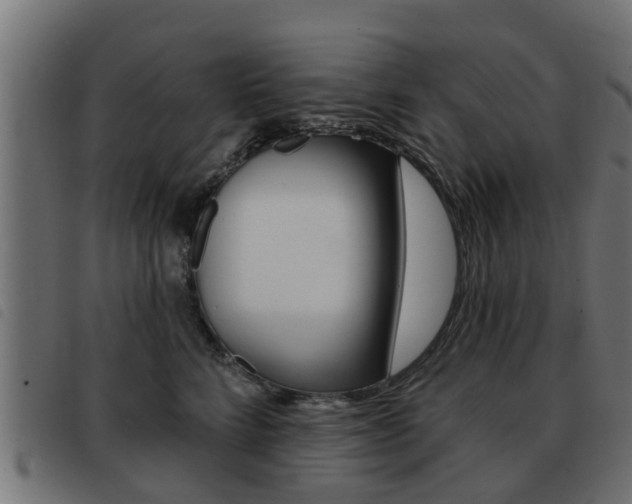 X0000093420712200710120857