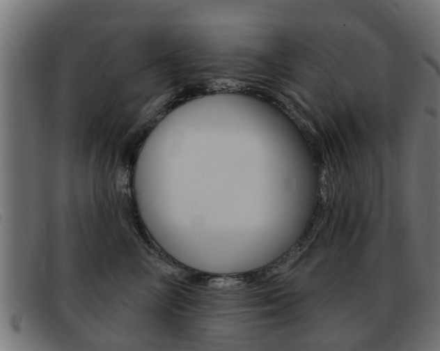 X0000093420714200710120857