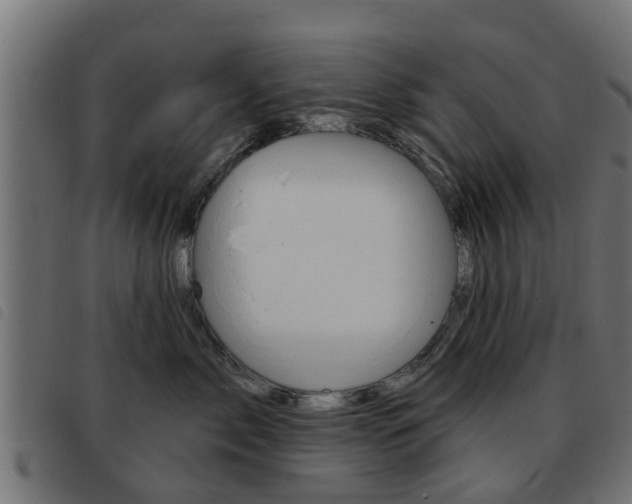 X0000093420717200710120856