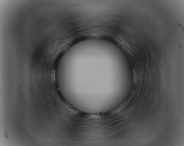 X0000093420718200710120856
