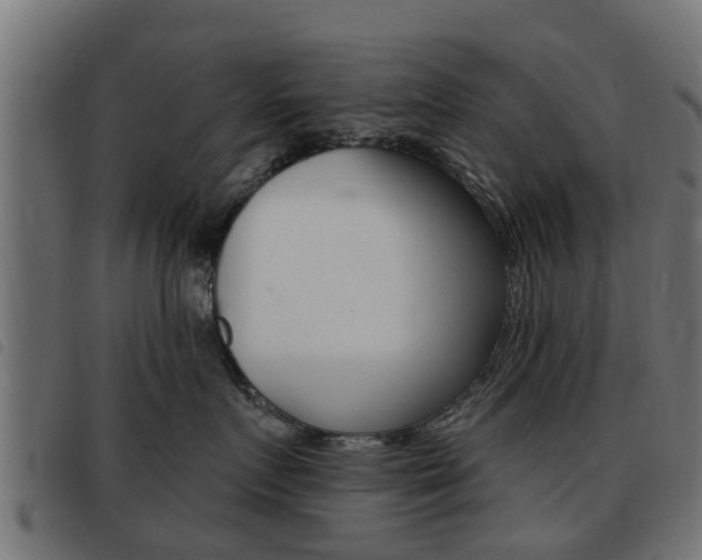 X0000093420719200710120856