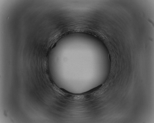 X0000093420720200710120856