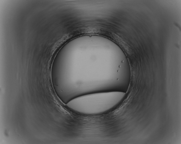 X0000093420721200710120856