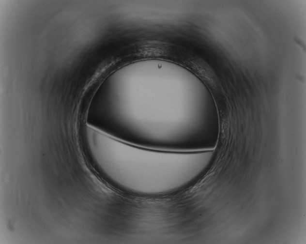 X0000093420722200710120856