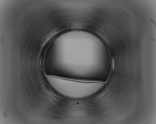 X0000093420723200710120856
