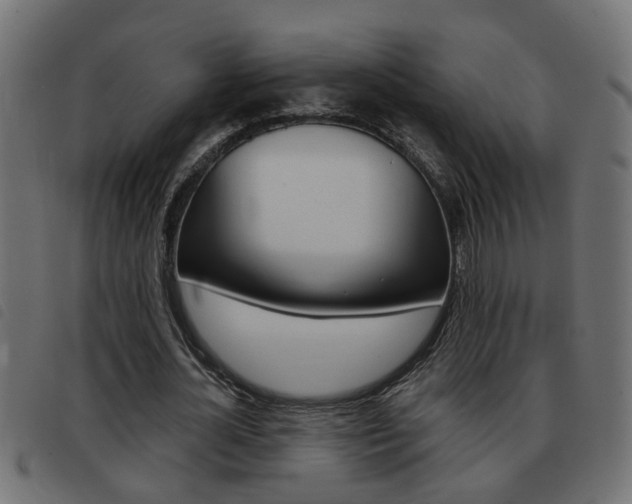 X0000093420724200710120856