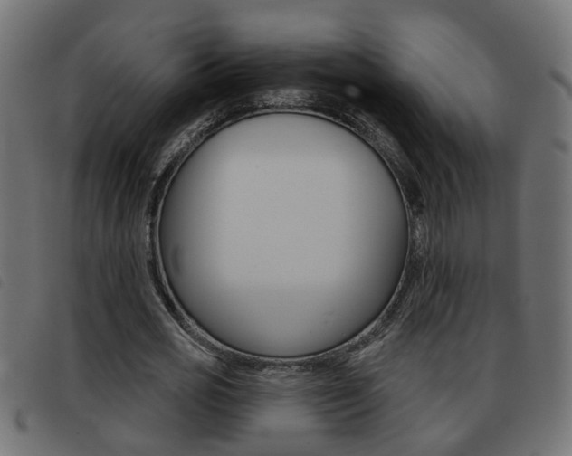 X0000093420725200710120856