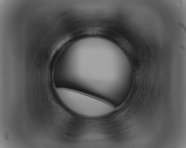 X0000093420727200710120856