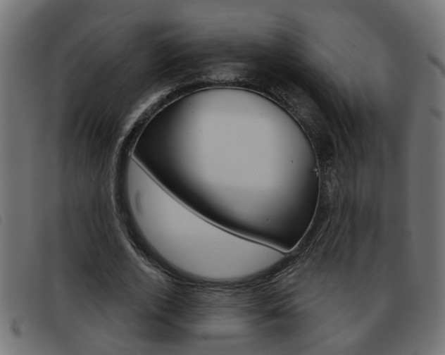 X0000093420728200710120856