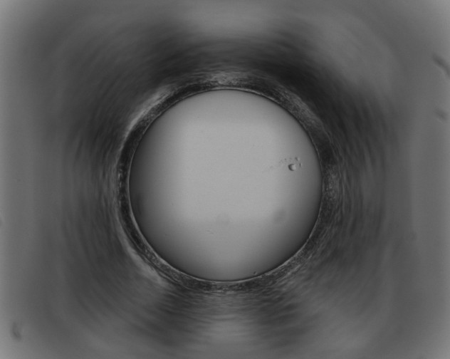 X0000093420730200710120856