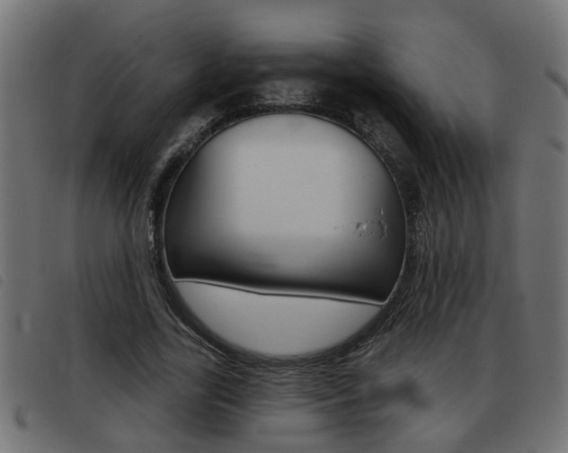 X0000093420731200710120856